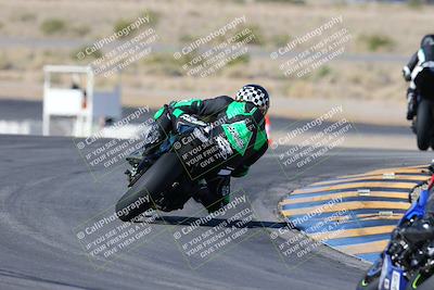 media/Feb-03-2024-SoCal Trackdays (Sat) [[767c60a41c]]/2-Turn 11 (10am)/